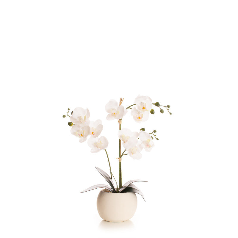 51cm Real Touch Single stem White Phalaenopsis Orchid in Pot